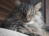 Hermes on Couch A P2080163